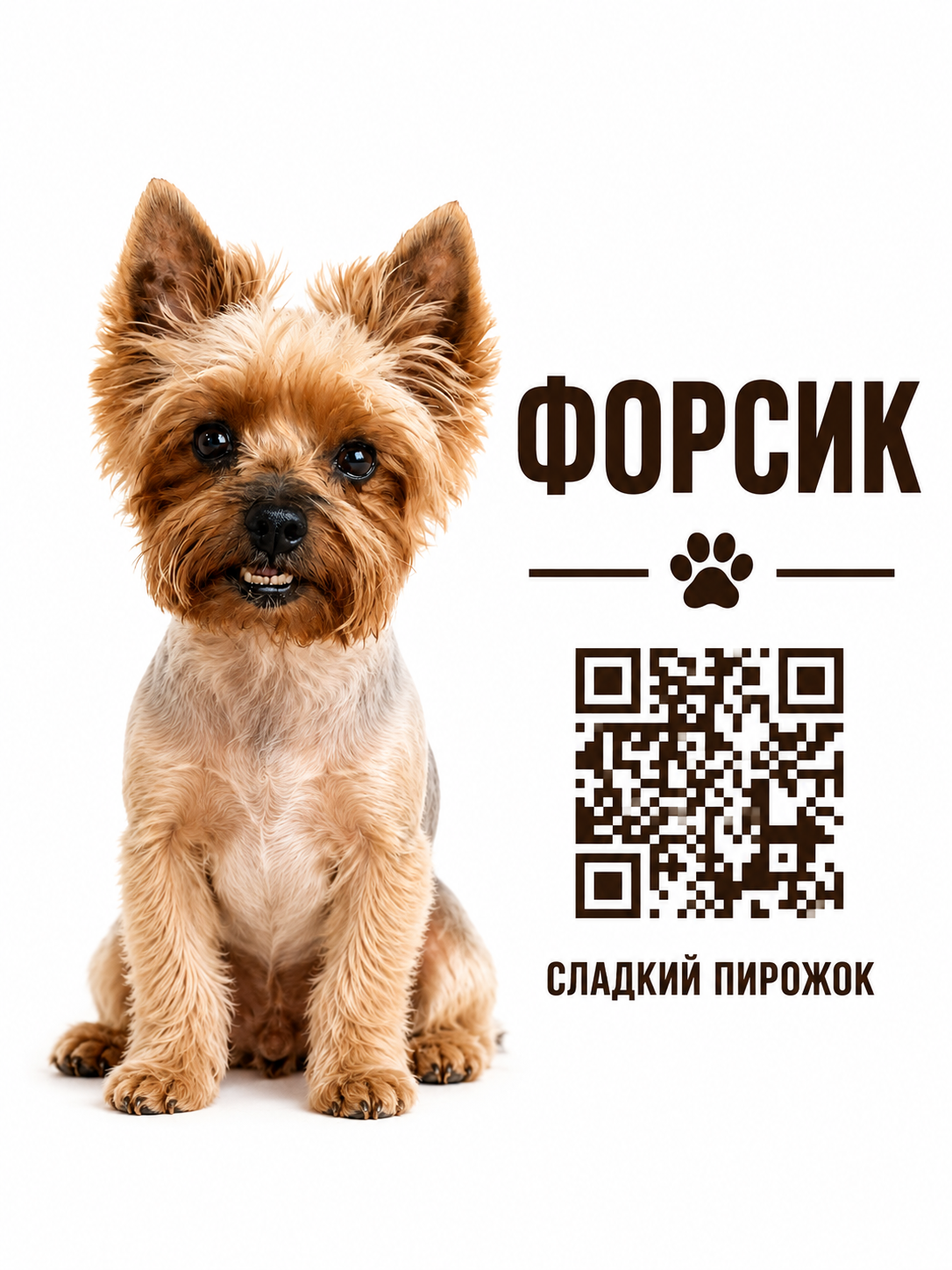 ФОРСИК